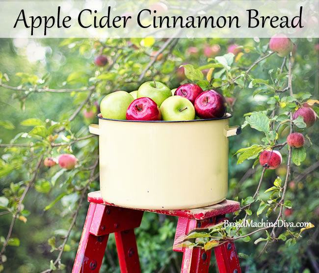 Apple Cider Cinnamon Bread