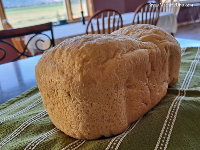 Loaf of Onion Bread