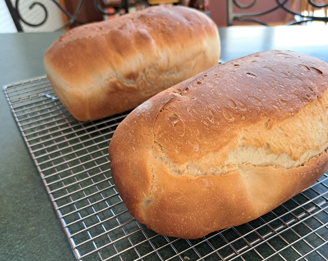 Two loaves